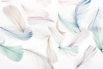 Fototapeta na wymiar seamless background with fluffy light beige, green and blue feathers isolated on white