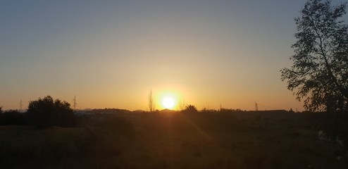 Fototapeta premium sunset over field