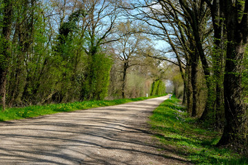 route dombes printemps
