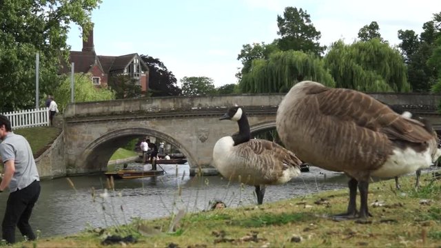 Cambridge, United Kingdom - 05/22/2018