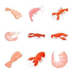 Vector design of shrimp and crab icon. Collection of shrimp and sea vector icon for stock.