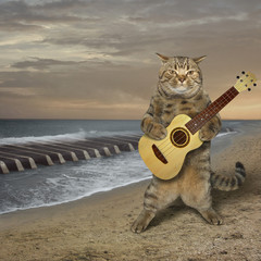 The cat is playing the guitar on the deserted beach. The sea waves looks like the piano keys.