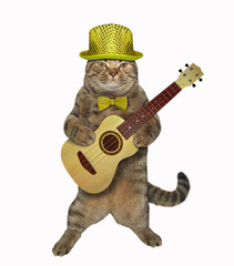 The cat in a hat and a bow tie is playing the acoustic guitar. White background. Isolated.