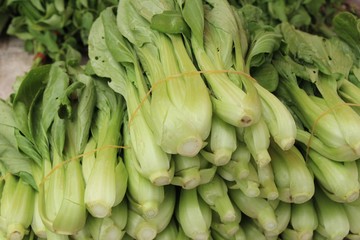 Fresh choy for cooking at street food