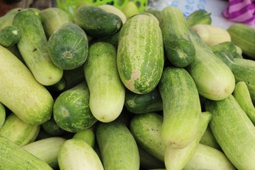 Fresh cucumbers for cooking in the market