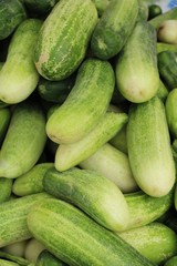 Fresh cucumbers for cooking in the market