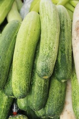 Fresh cucumbers for cooking in the market