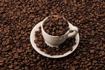Coffee beans in white coffee cup on the roasted coffee beans