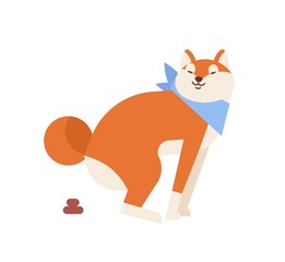 Funny Akita Inu pooping or defecating during walk. Cute dog of Japanese breed isolated on white background. Purebred domestic animal performing daily activity. Flat cartoon vector illustration.