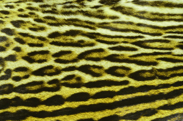 feline fur background textures