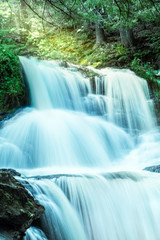 Water falls in green forest