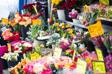 Blumen am Blumenstand