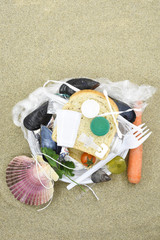 La plastica rifiuto &egrave; nella catena alimentare - mare e spiagge inquinate - inquinamento