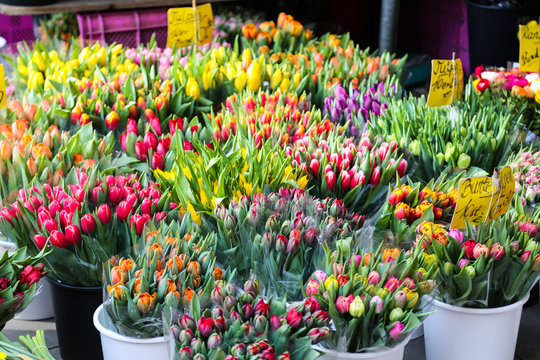 Tulpen am Blumenstand