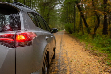 Small SUV car in the middle of road covered with golden autumn tree leaves