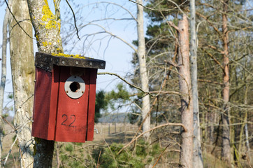 Red bird house in a tree