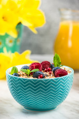 Serving portion of healthy granola with fruits