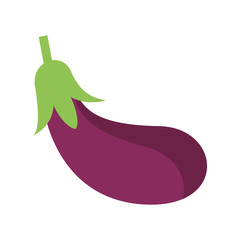 Eggplant fresh vegetable