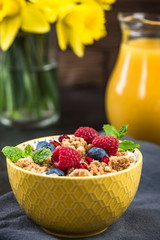 Bowl of homemade granola with yogurt and fresh berries