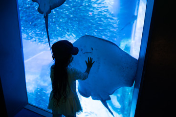 水槽を見る女の子 © hakase420