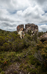 Tarn Shelf Track. Mt Field. Tasmania