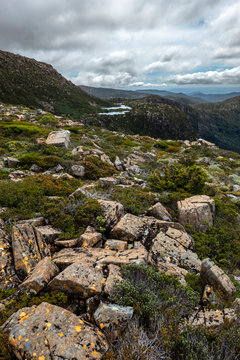 Tarn Shelf Track. Mt Field. Tasmania