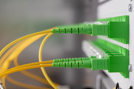 Fiber Optical Network Panel with Patchcords Close-up