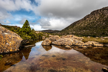 Tarn Shelf Track. Mt Field. Tasmania