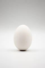 Uovo bianco.
