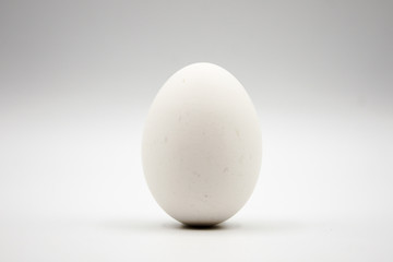 Uovo bianco.