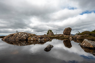 Tarn Shelf Track. Mt Field. Tasmania