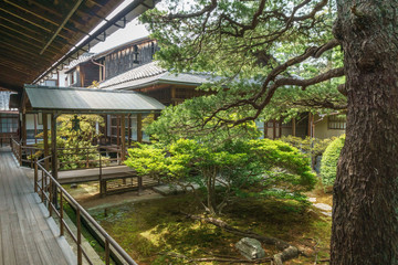 京都 妙心寺 大心院 初夏