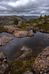 Tarn Shelf Track. Mt Field. Tasmania