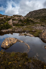Tarn Shelf Track. Mt Field. Tasmania