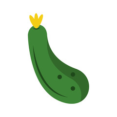 zucchini fresh vegetable