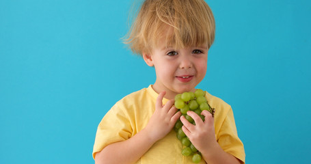 Healthy eating concept with child eating grapes isolated on blue background