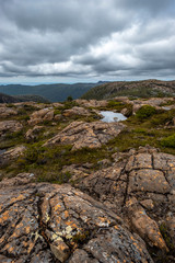 Fototapeta na wymiar Tarn Shelf Track. Mt Field. Tasmania