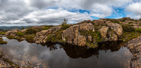 Tarn Shelf Track. Mt Field. Tasmania