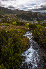 Tarn Shelf Track. Mt Field. Tasmania