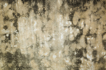 mildewed wall background