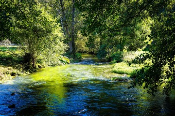 Obraz premium im Tal der schwarzen Laber