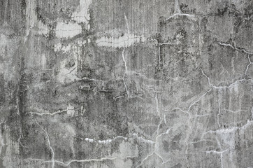 Fototapeta premium mildewed wall background