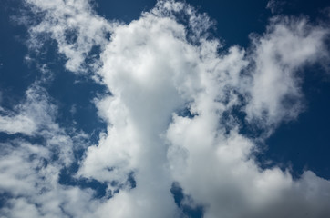 white clouds on sky