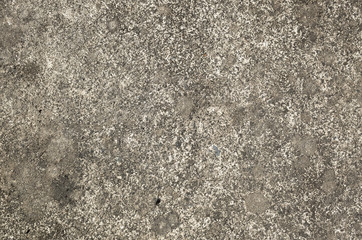 mildewed wall background
