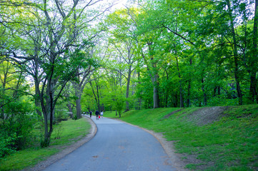 enjoying the park in New England on a spring late afternoon