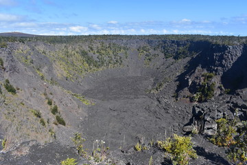 Former Volcano Crater in Hawaii Forest grown back around the sides and grennery starting to break through the rough volcanic rock