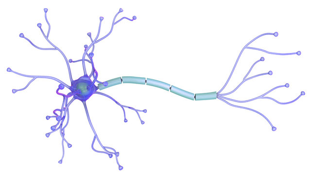 3D illustration of neuron