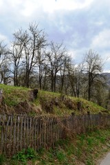 Fototapeta na wymiar fences and trees in the village