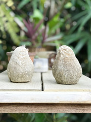 Closeup ceramic bird dolls on the table with garden background