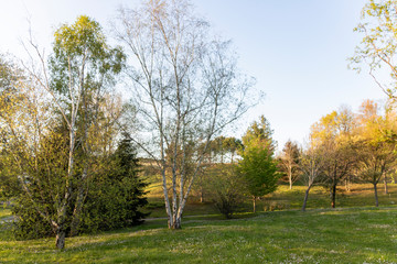 Parque con árboles